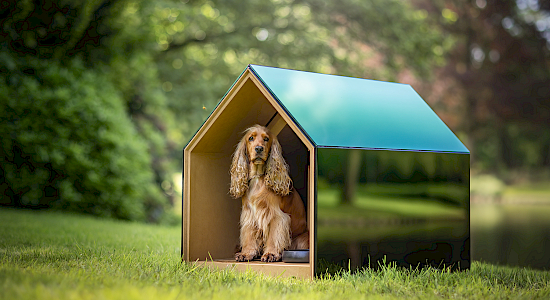 iNUGOYA, The Ultimate Dog House