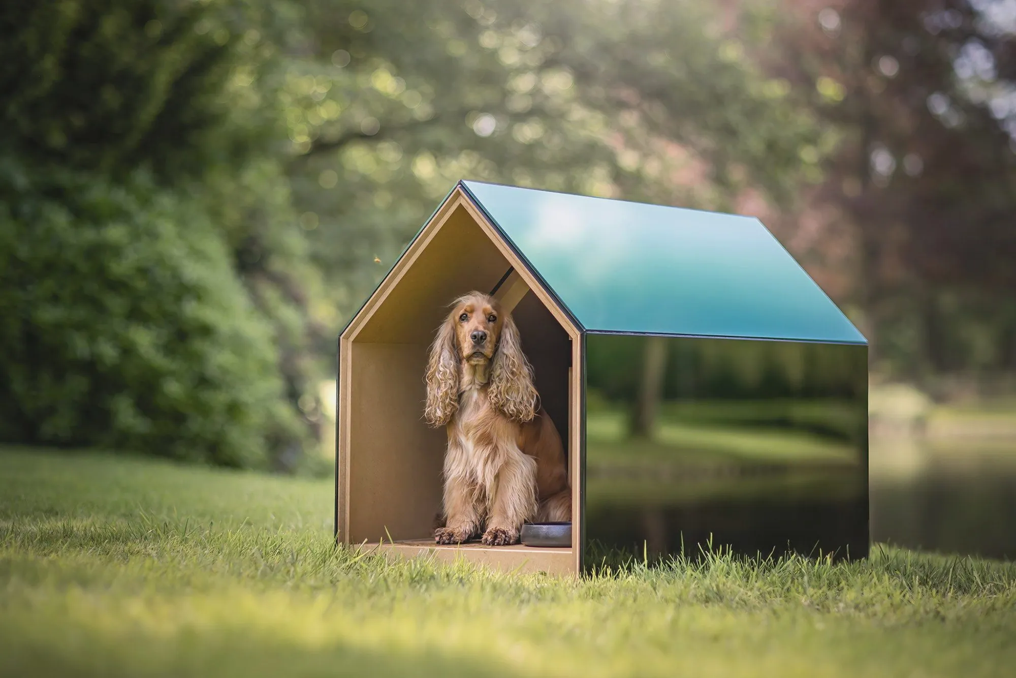 iNUGOYA, design d’une niche pour chien, Design