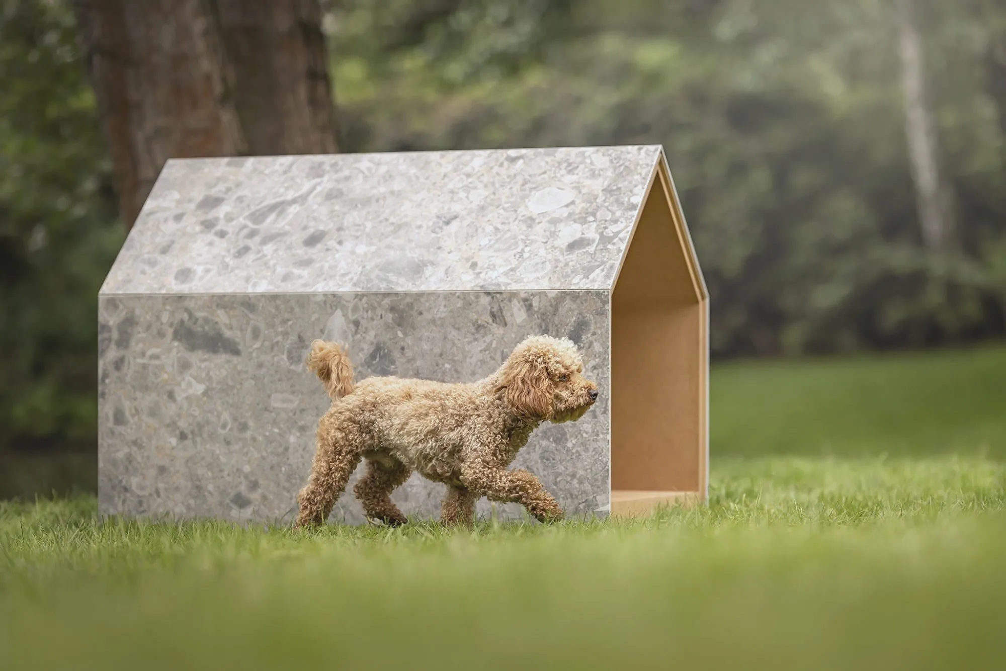 iNUGOYA, design d’une niche pour chien, Design