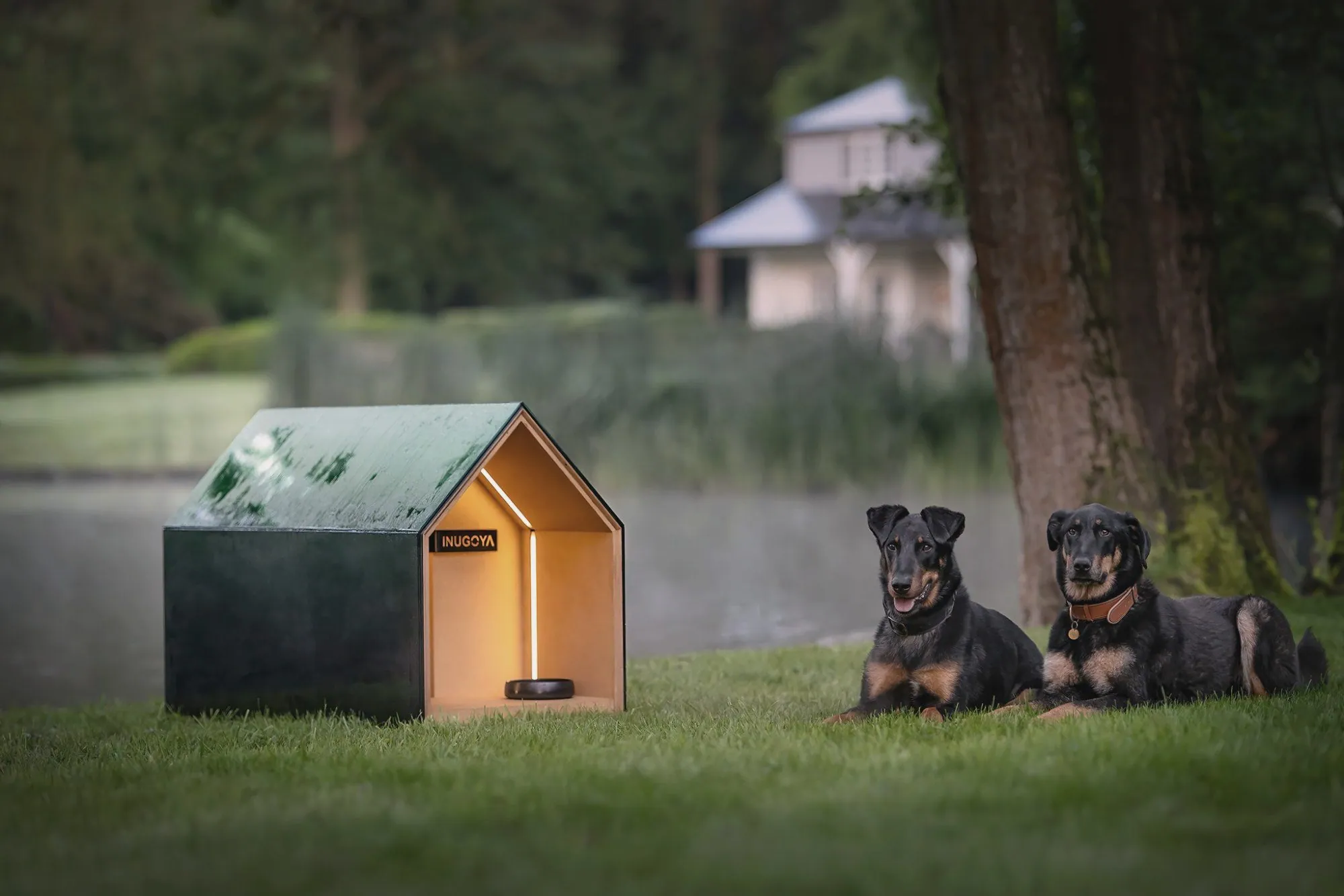 iNUGOYA, design d’une niche pour chien, Design