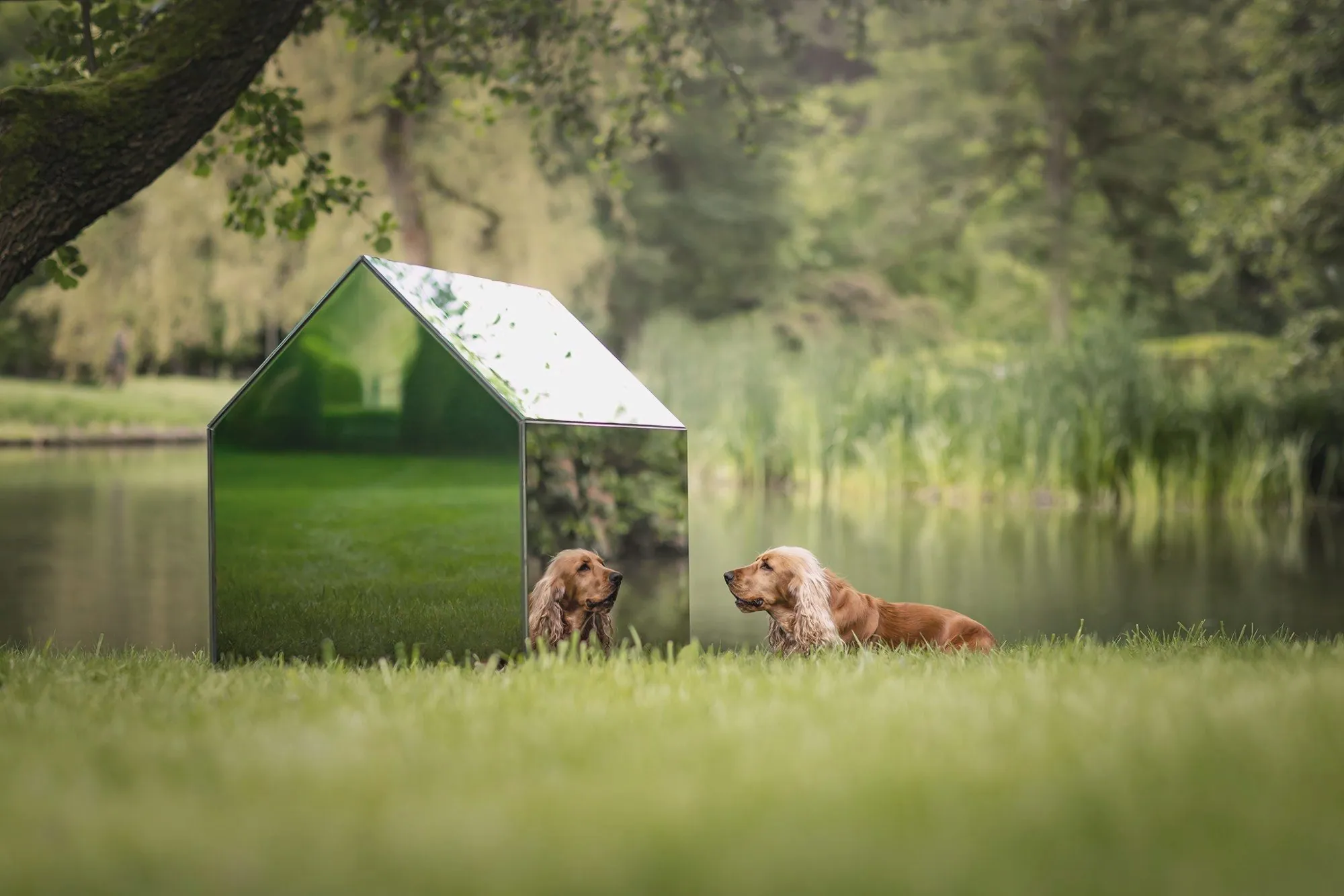 iNUGOYA, design d’une niche pour chien, Design