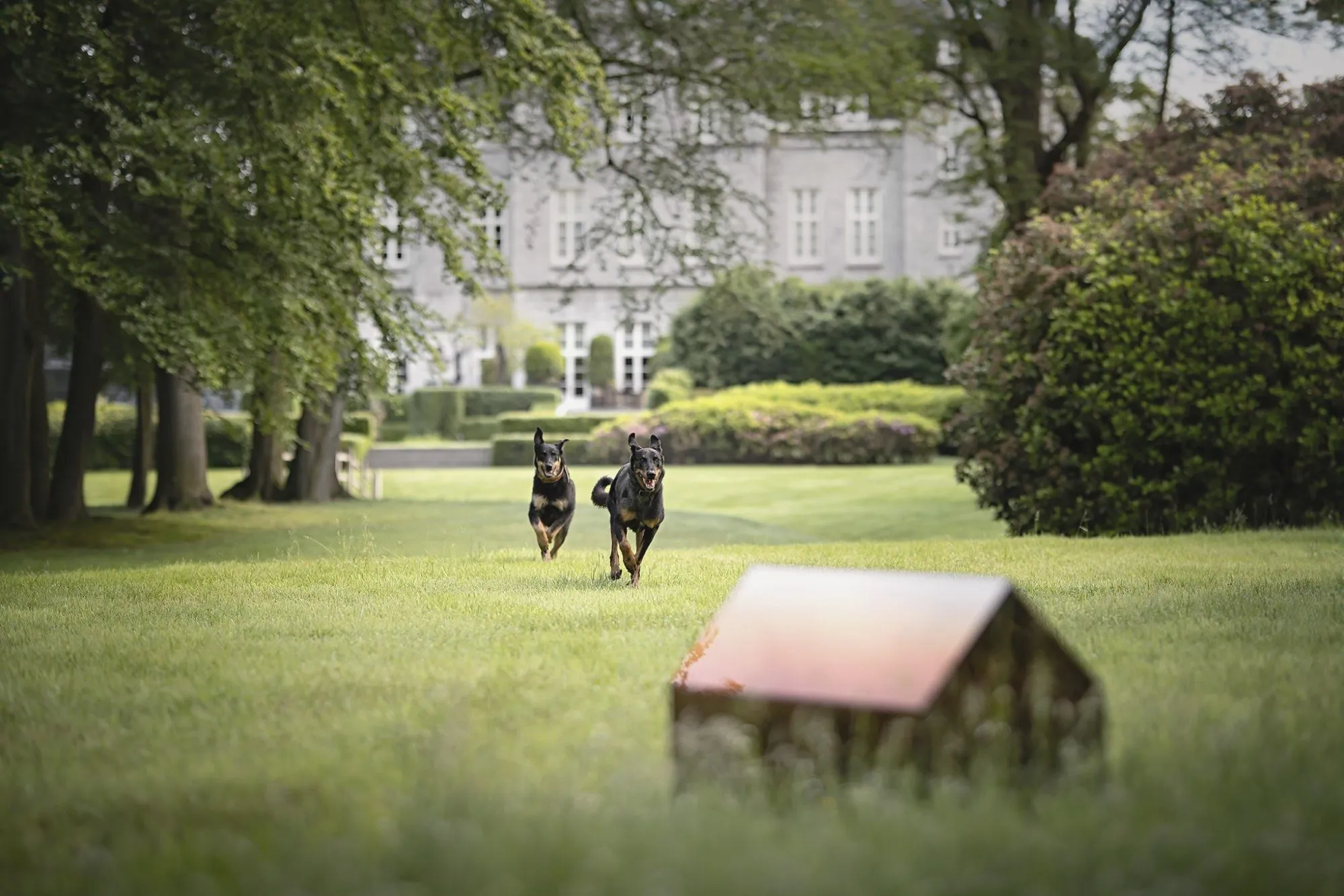 iNUGOYA, design d’une niche pour chien, Design