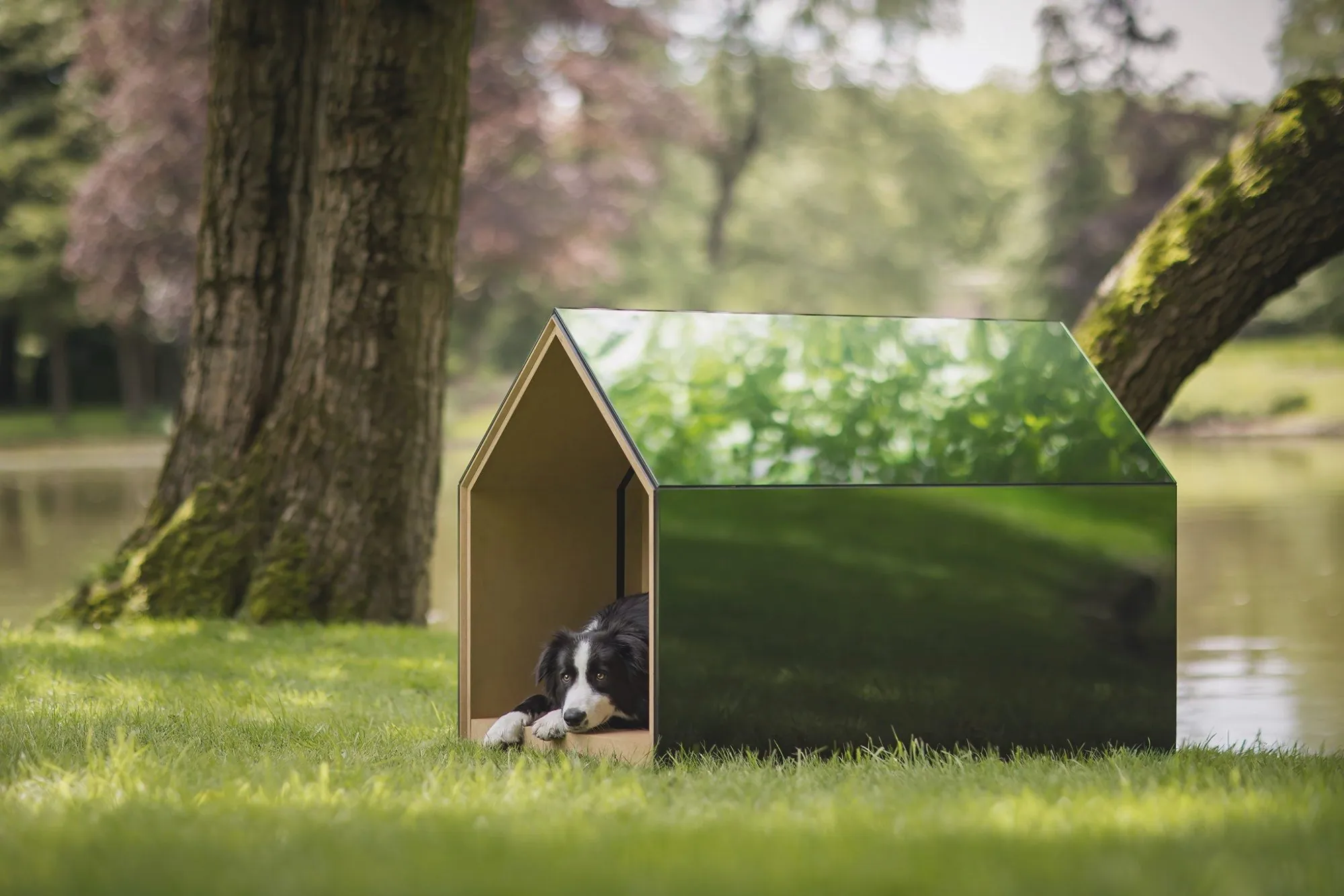 iNUGOYA, design d’une niche pour chien, Design